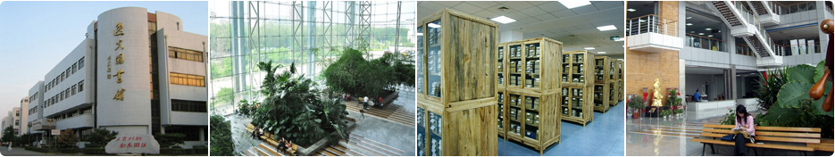 ���ִ�ѧ��ѧ